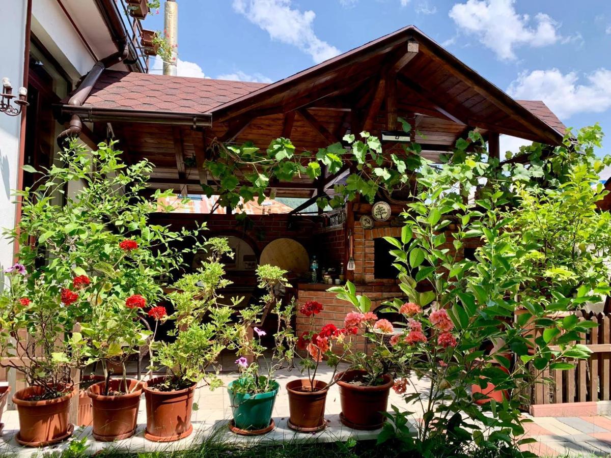 Casa Olanesti Hotel Băile Olăneşti Eksteriør billede
