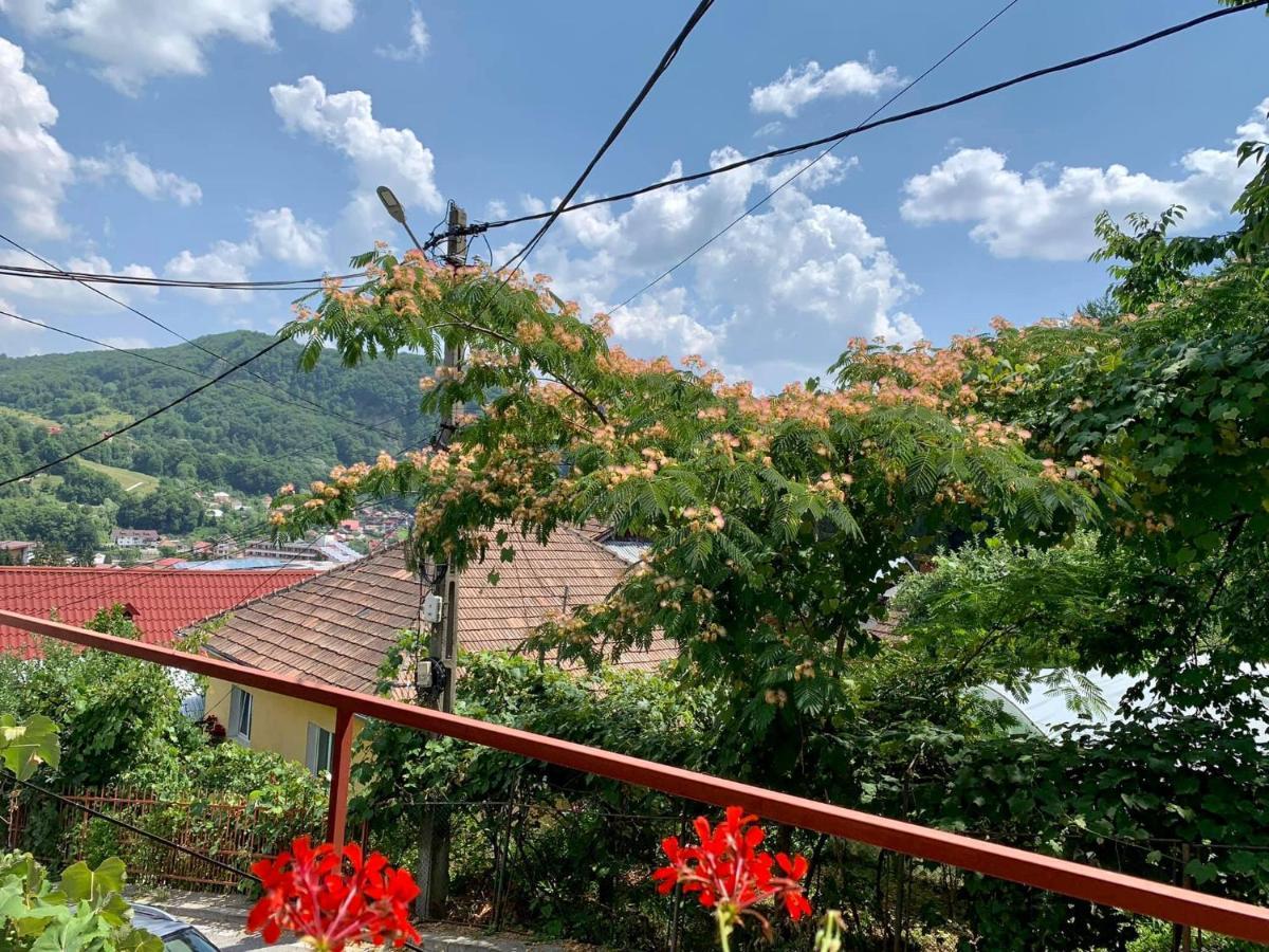 Casa Olanesti Hotel Băile Olăneşti Eksteriør billede